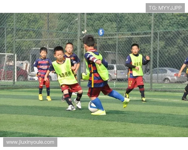 与陈伟对话探讨他辉煌的足球生涯与未来发展方向